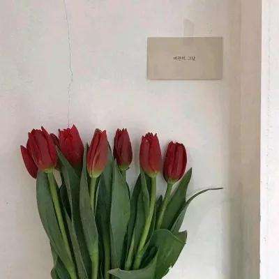 巴啦啦魔法变身3无限金币钻石版下载