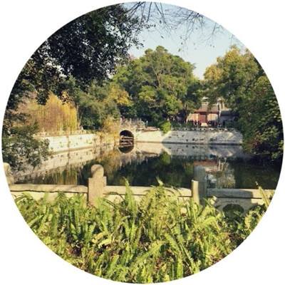 镇龙诀最新版下载